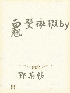 白璧微瑕by连翘