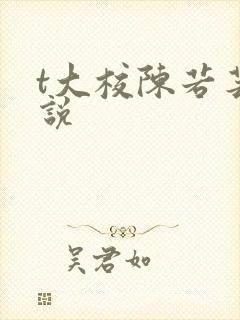 t大校陈若芸小说