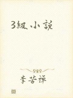 3级小说