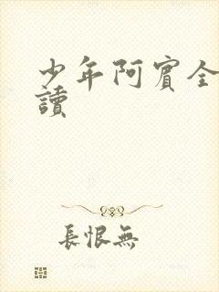 少年阿宾全集阅读