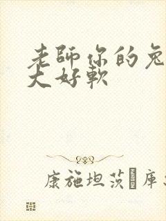 老师你的兔子好大好软