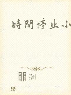 时间停止小说