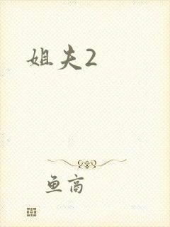 姐夫2