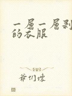 一层一层剥掉你的衣服