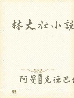 林大壮小说阅读