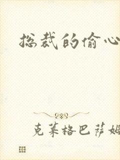 总裁的偷心娇妻