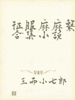 征服麻麻系列大合集小说