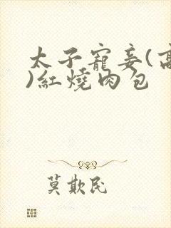 太子宠妾(高肉)红烧肉包
