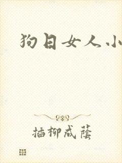狗日女人小说