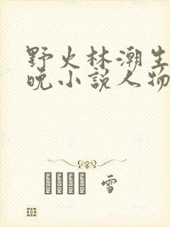 野火林潮生林晚晚小说人物野火
