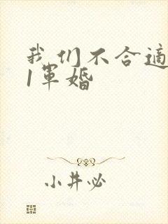 我们不合适1v1军婚