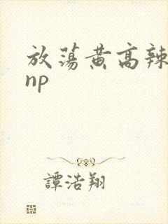 放荡黄高辣h文np