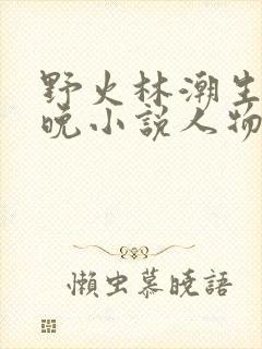 野火林潮生林晚晚小说人物野火