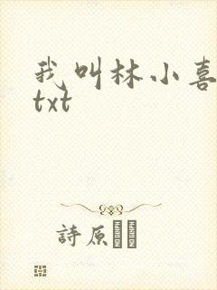 我叫林小喜小说txt