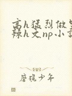 高h猛烈做哭高辣h文np小说