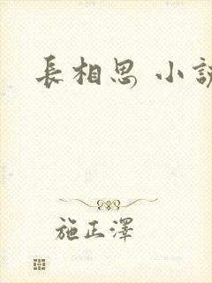 长相思 小说