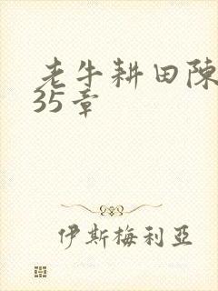 老牛耕田陈雪435章