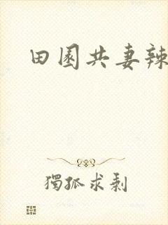 田园共妻辣