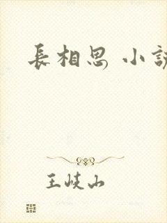 长相思 小说