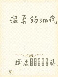 温柔的sm我