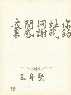 夜间网址你会回来感谢我的