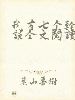 我有七个干妈小说全文阅读