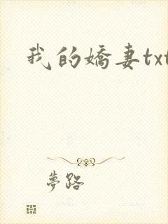 我的娇妻txt