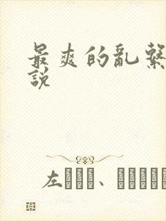 最爽的乱系列小说