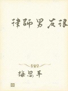 律师男友很难撩