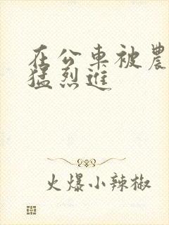 在公车被农民工猛烈进