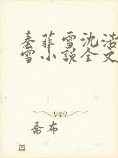 秦菲雪沈浩秦菲雪小说全文免费阅读求书