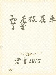 和老板在车里做了爱