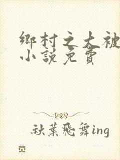 乡村之大被同眠小说免费