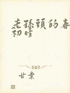 老孙头的春天林初晴