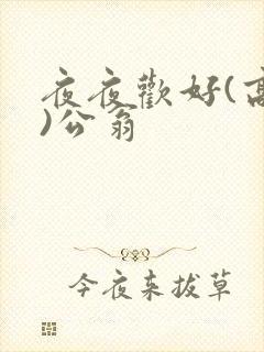 夜夜欢好(高h)公翁