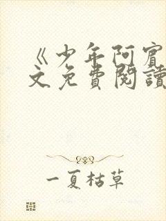 《少年阿宾》全文免费阅读