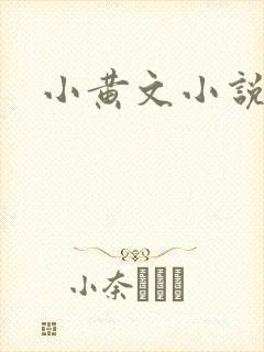 小黄文小说