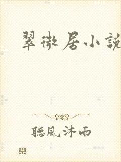 翠微居小说