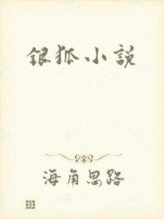 银狐小说