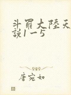 斗罗大陆天狂传说1一5