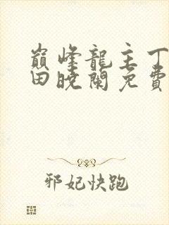 巅峰龙主丁长顺田晓兰免费阅读