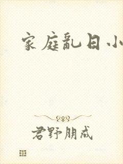 家庭乱日小说