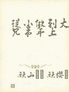 从小做到大骨科兄弟年上