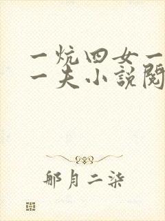 一炕四女一共侍一夫小说阅读