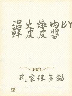 温火炖肉BY海鲜皮皮酱