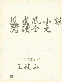 凤求凰小说免费阅读全文