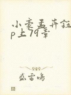 小豪孟卉钰慧三p上79章