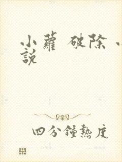 小萝 破除 小说