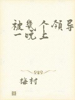 被几个领导玩弄一晚上