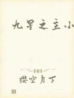 九星之主小说